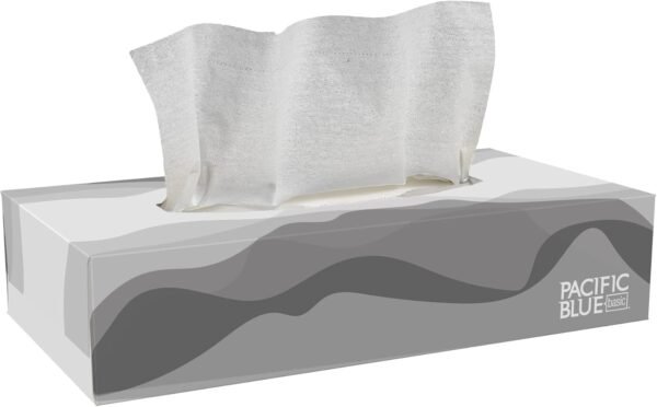 Georgia Pacific 2-Ply Facial Tissue, Flat Box, 47410, 100 Sheets Per Box, 30 Boxes Per Case, White