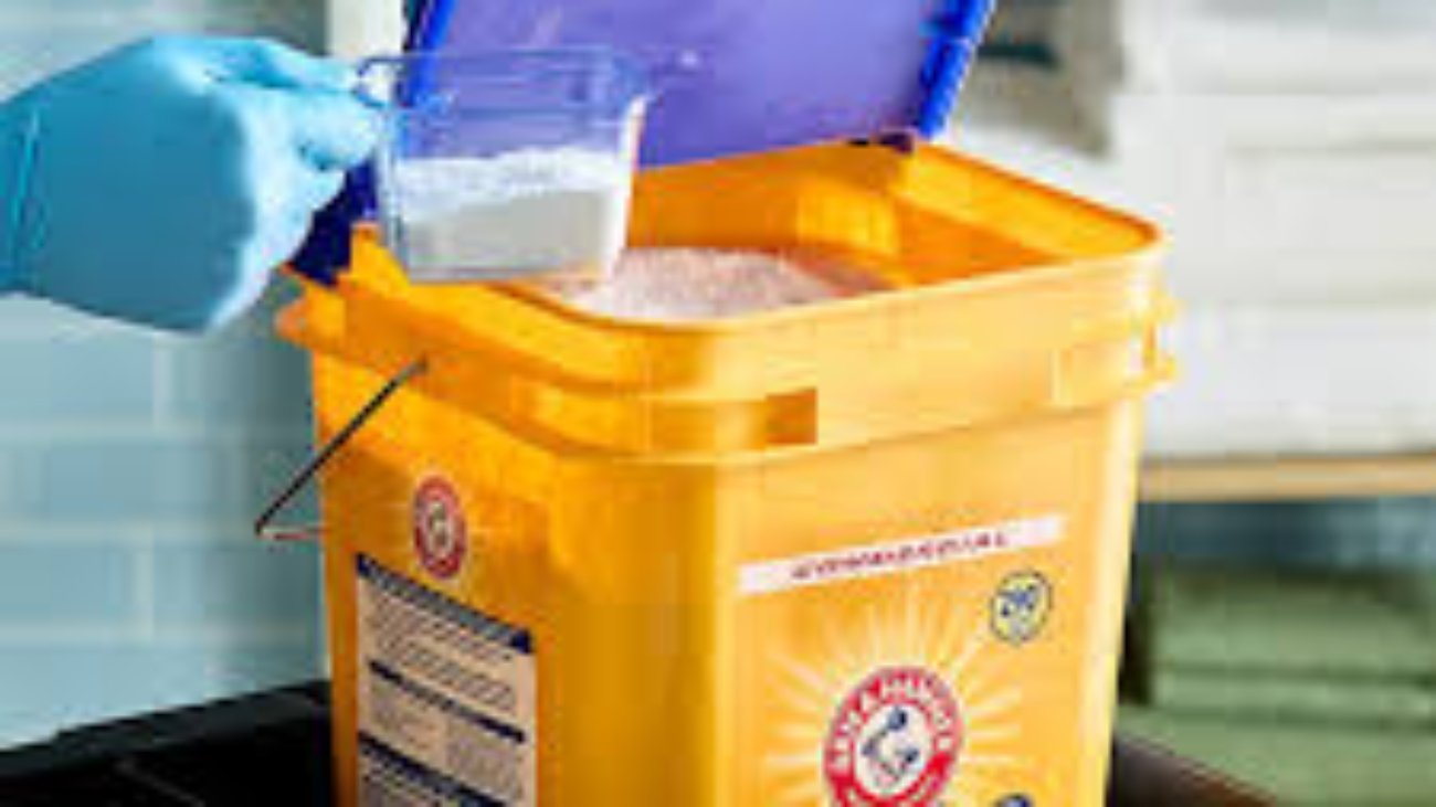 Arm and Hammer Powder Laundry Detergent