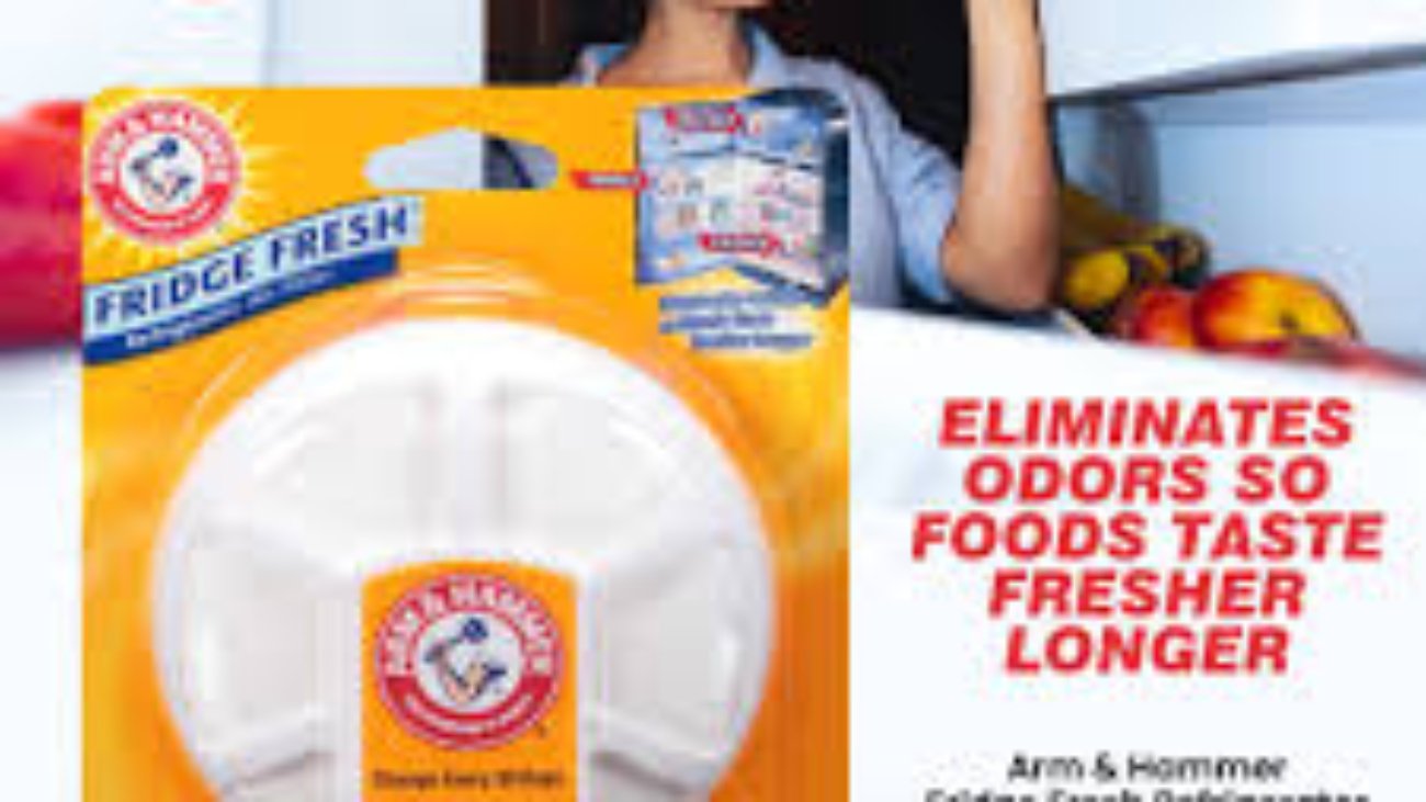 Discover the Secret to a Fresher Fridge