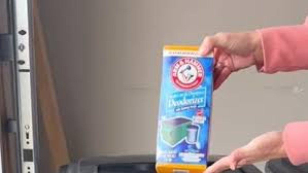 Eliminate Odors the Right Way