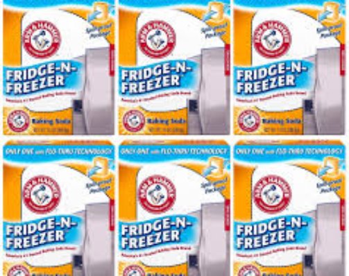 Keep Your Fridge Fresh