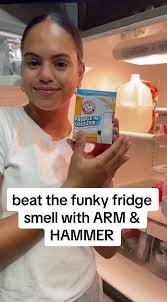Best Fridge Odor Eliminator