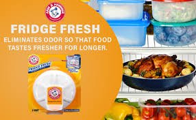 Why You Need Arm and Hammer Fridge Fresh Filter